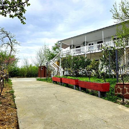 Hilltop Guest House Kutaissi Exterior foto