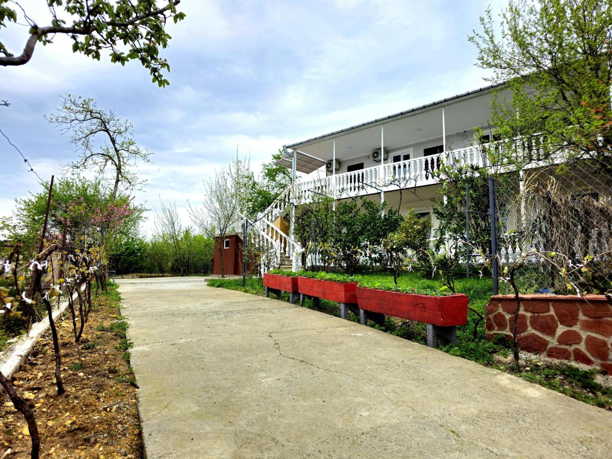 Hilltop Guest House Kutaissi Exterior foto